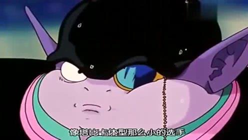 吃瓜娱乐的喵